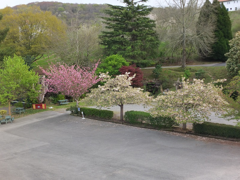 Printemps au lycée