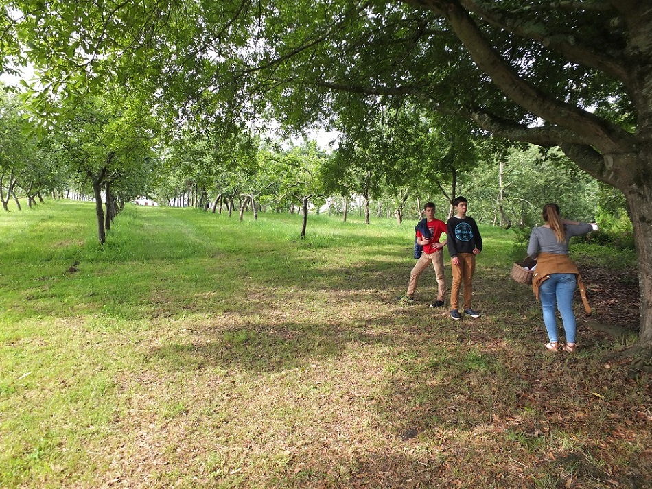 Fête de la Nature