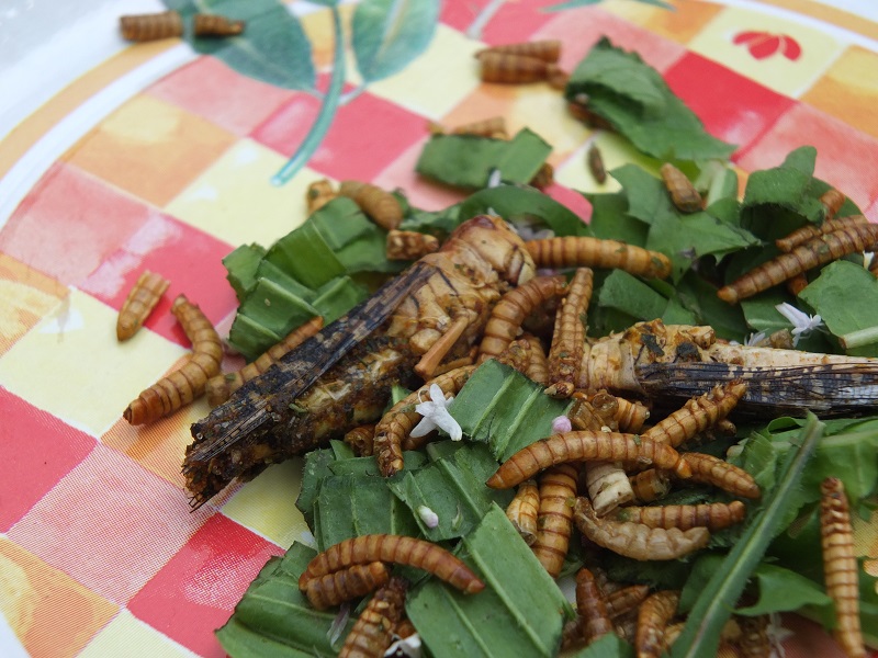 Fête de la Nature