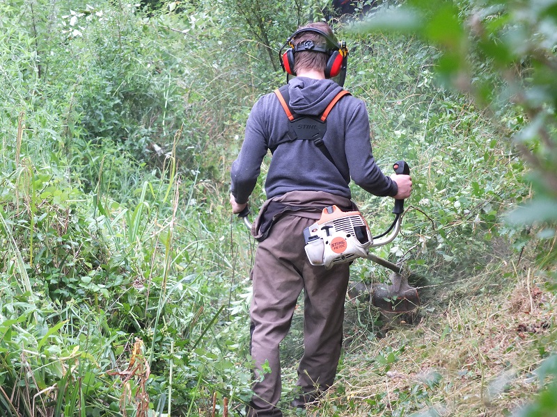 Travaux de débroussaillage