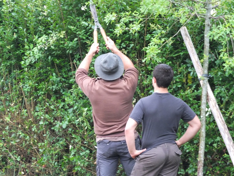 Apprentissage de la taille
