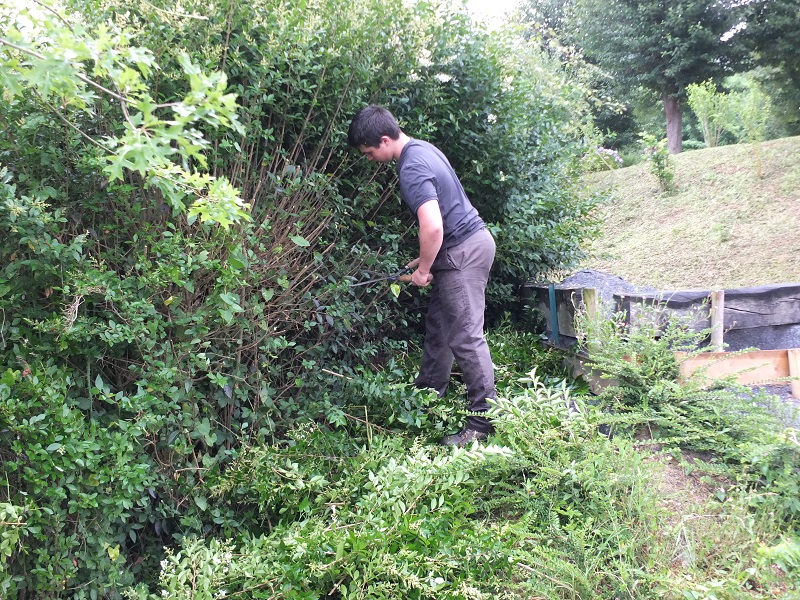 Travaux de taille