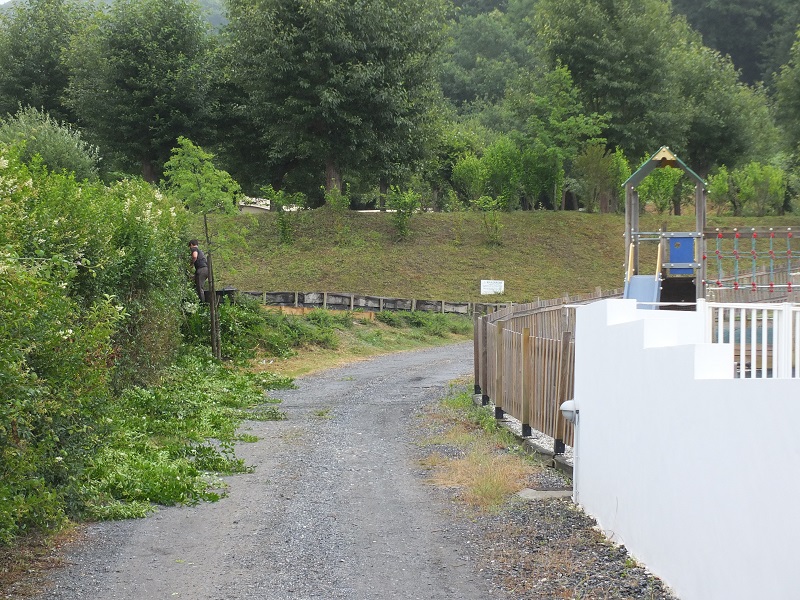 Travaux de taille