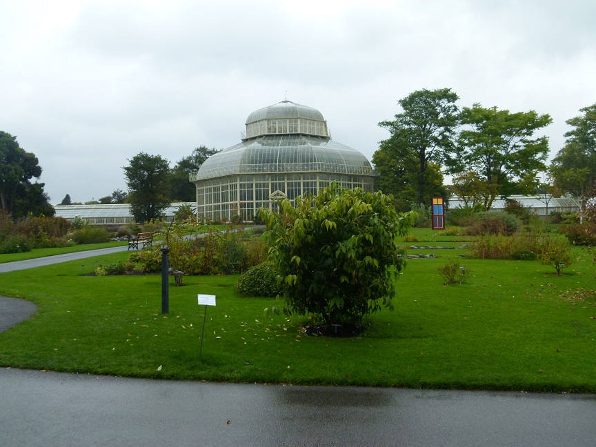 Voyage en Irlande