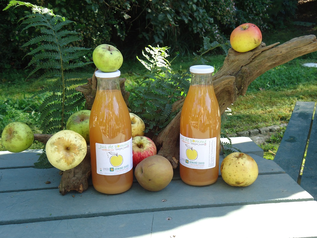 Jus de pomme au lycée Armand David