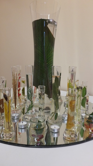 EPI Plantes