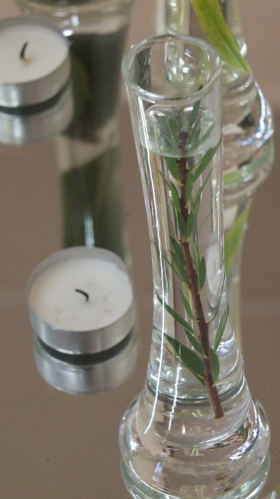 EPI Plantes