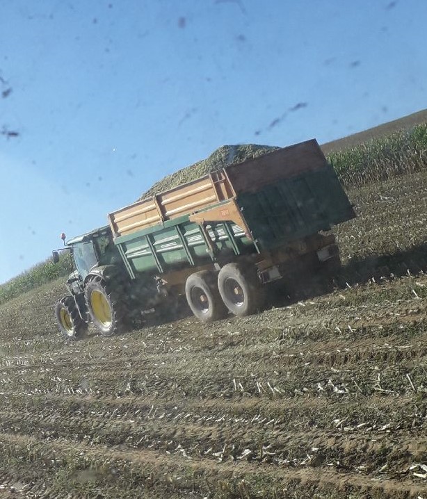 ensilage avec l'ETA Uhart