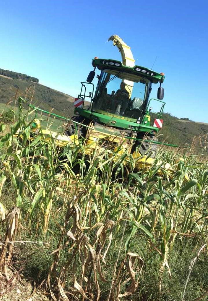 ensilage avec l'ETA Uhart