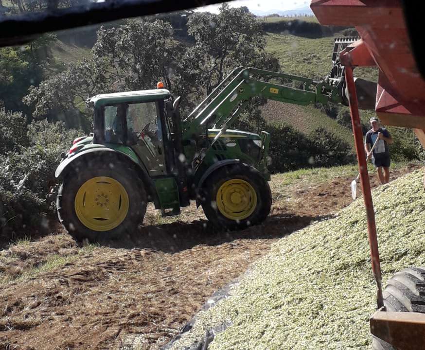 ensilage avec l'ETA Uhart