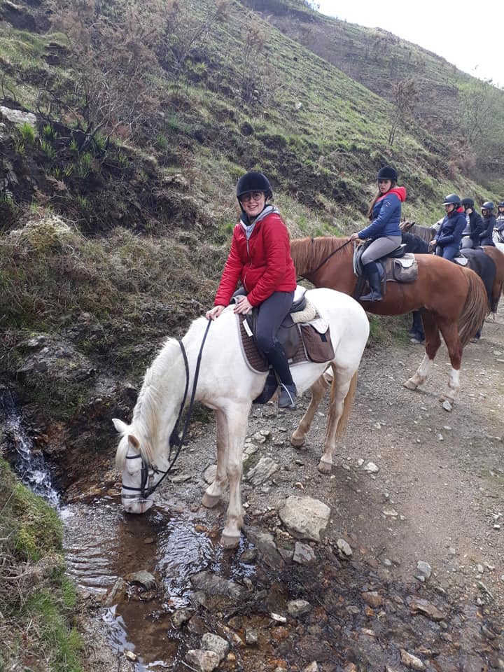 Sortie pédagogique en option hippologie