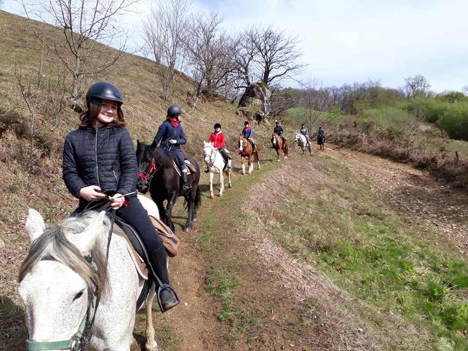 Sortie pédagogique en option hippologie