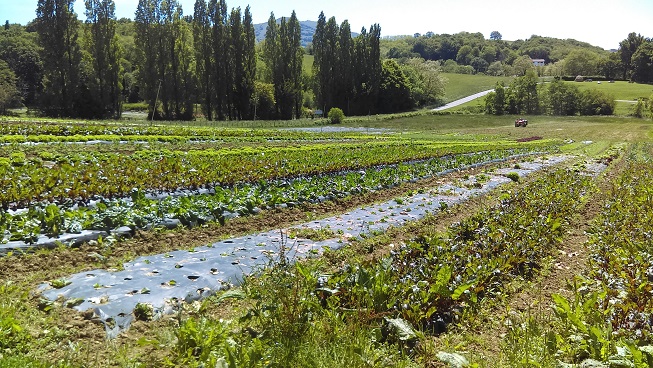 Semaine Santé et sexualité