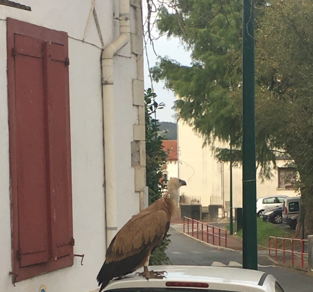 Rencontre insolite au lycée