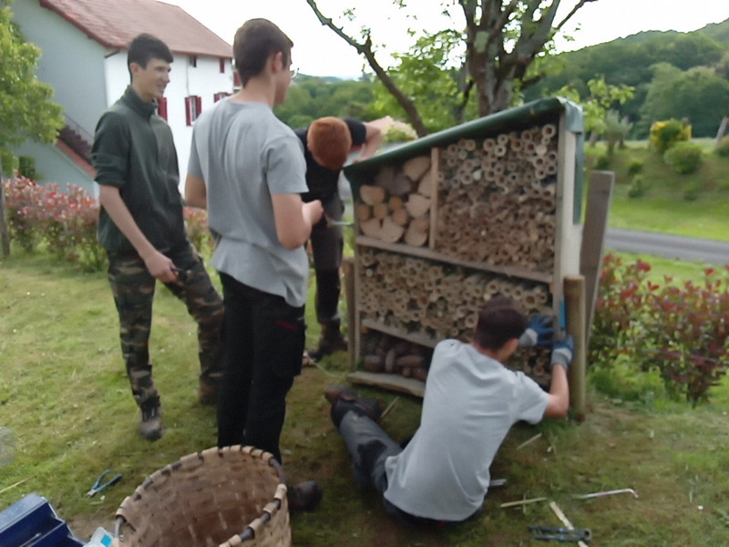 Entretien et biodiversité