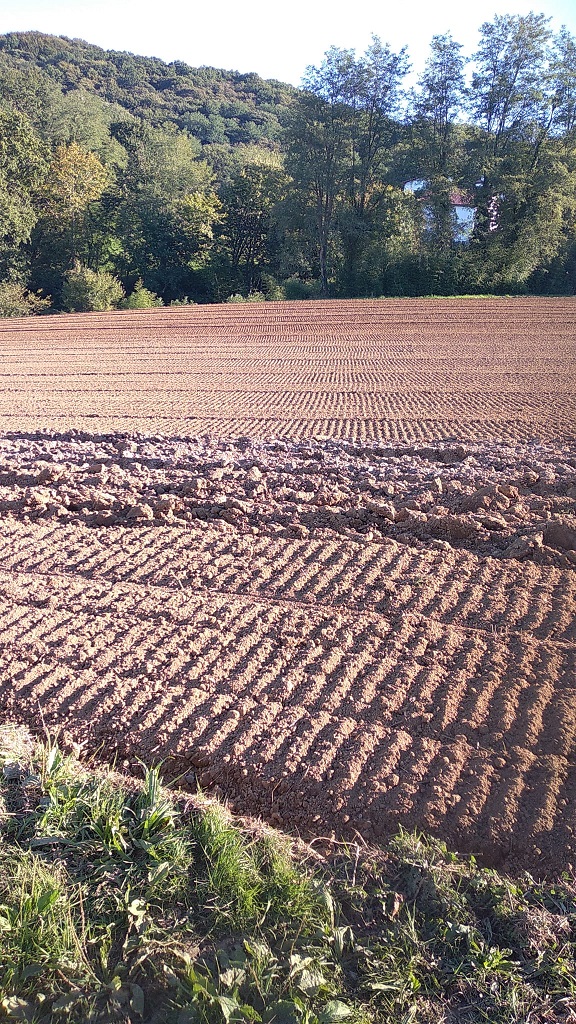 Travail du sol