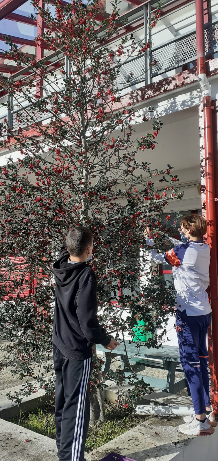 Décorations de Noël