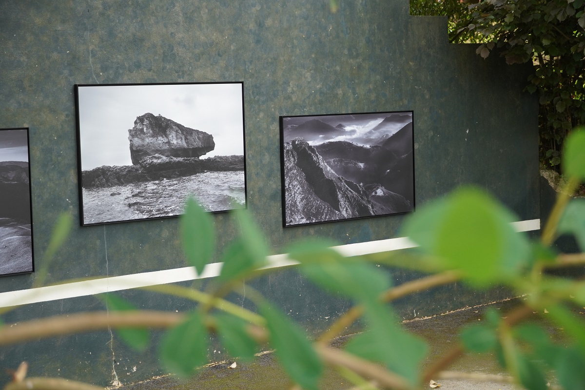 Exposition des élèves du lycée et de l'artiste Zigor