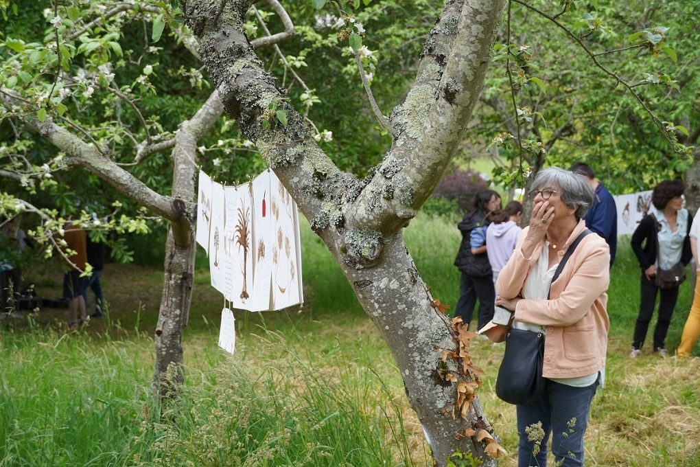 Exposition des élèves du lycée et de l'artiste Zigor