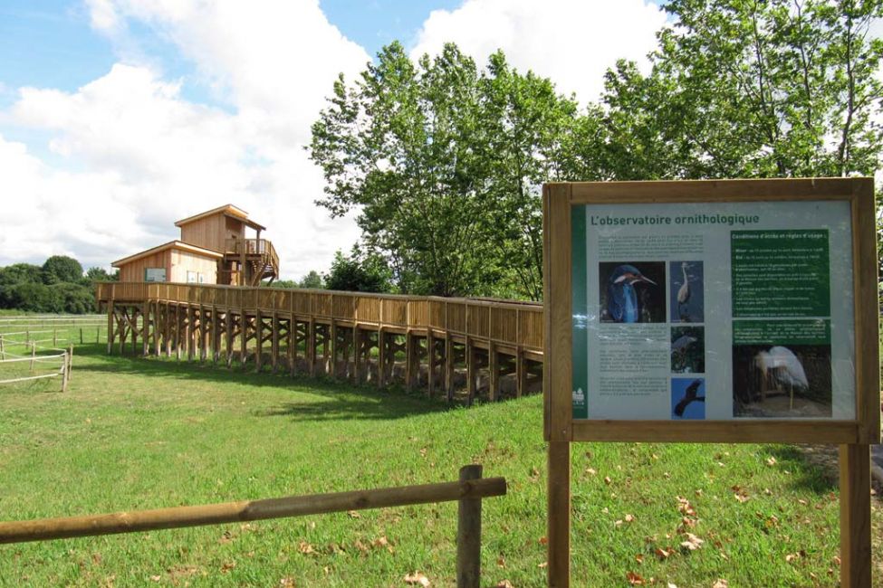 Observatoire de la faune et de la flore 