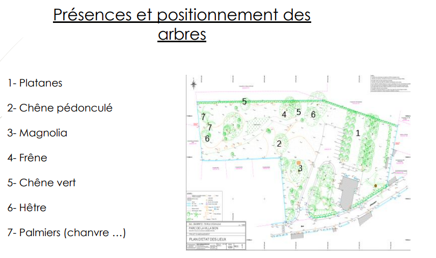 Etat des lieux du parc de la Villa Sion 