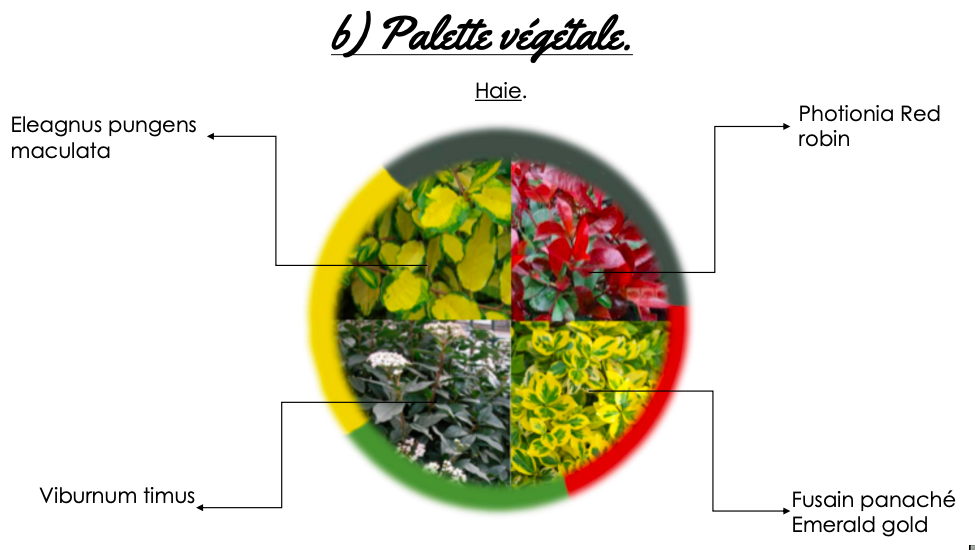 Proposition d'une palette végétale par les étudiants en BTS