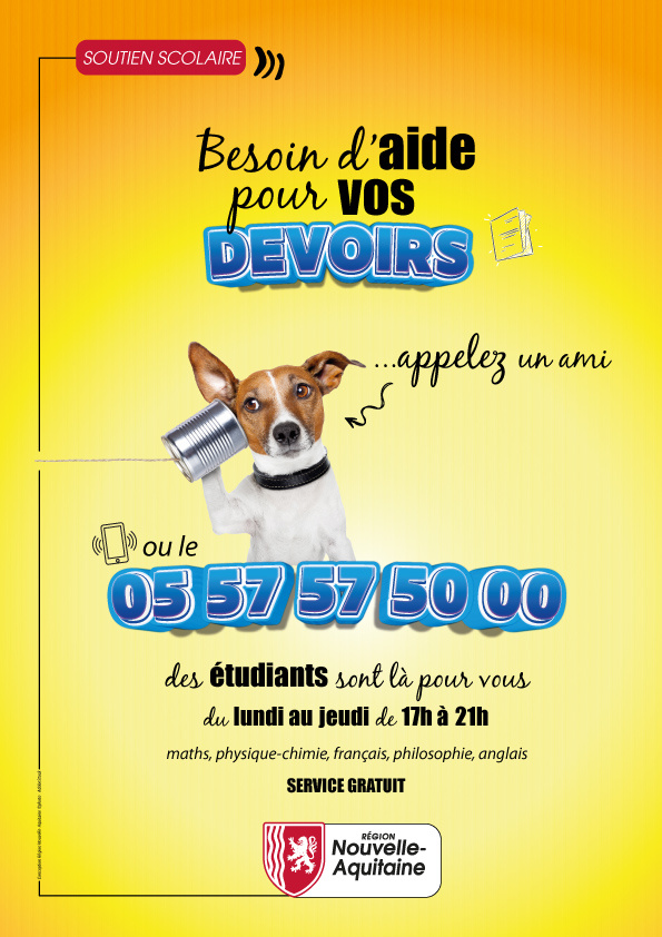 #LYCEEARMANDDAVID #CHAMPDESPOSSIBLES