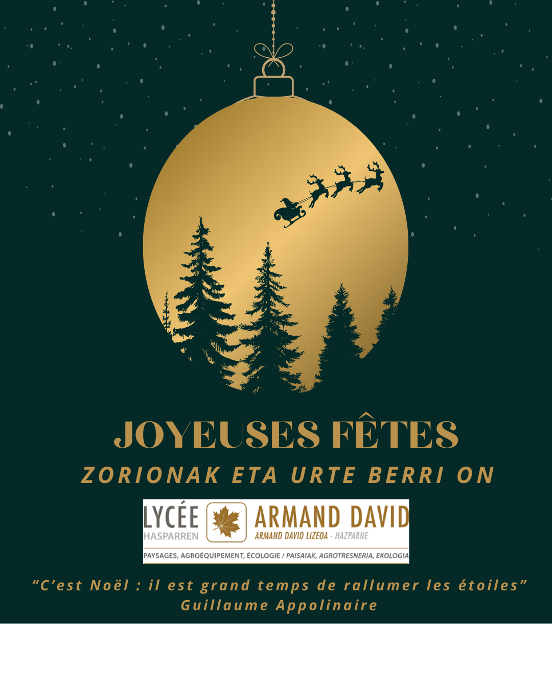 #LYCEEARMANDDAVID #CHAMPDESPOSSIBLES