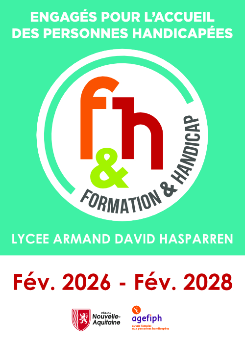 #LYCEEARMANDDAVID #CHAMPDESPOSSIBLES