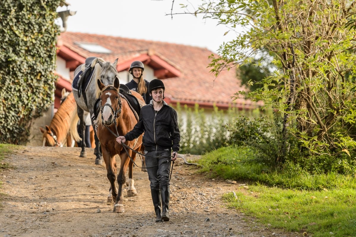 Bac Technologique STAV Option hippologie et équitation 