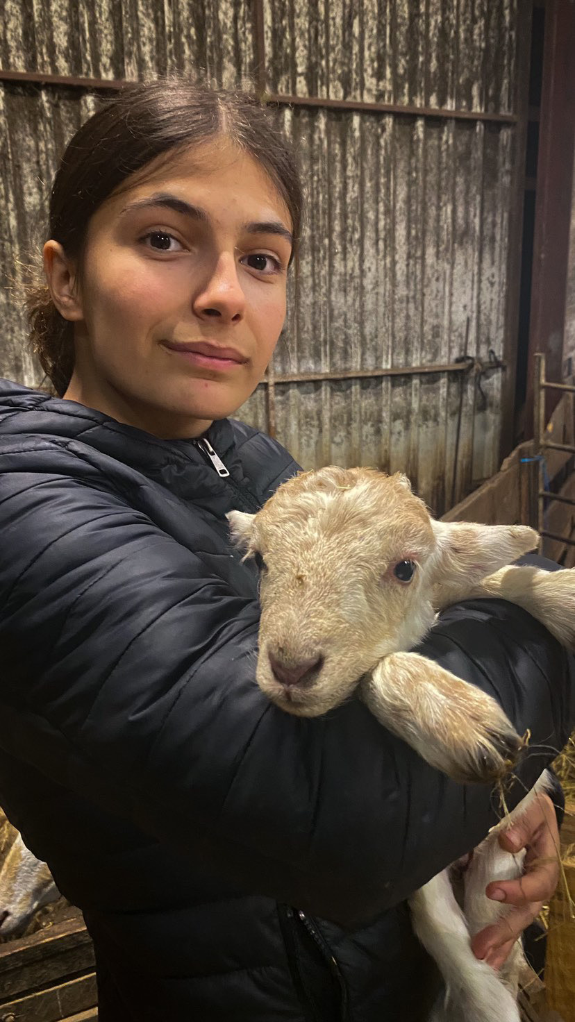 Stage Victoire - Ferme Arraioa à Ascain