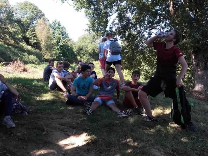 Activité 4/3