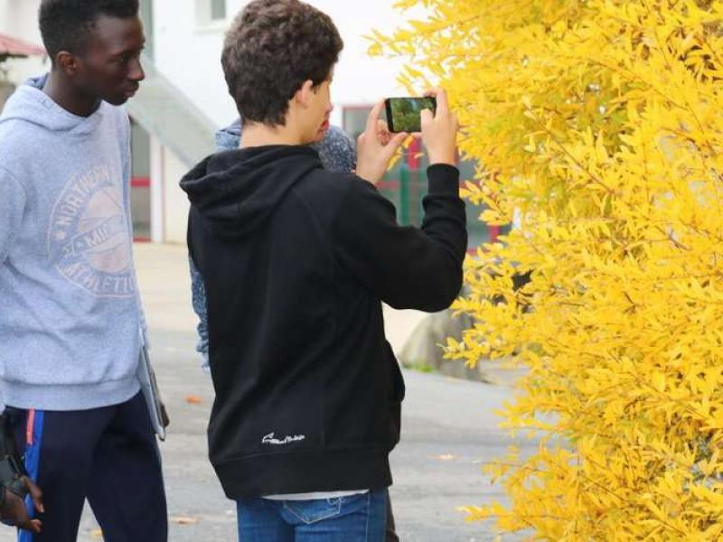 Eco Parlement des Jeunes