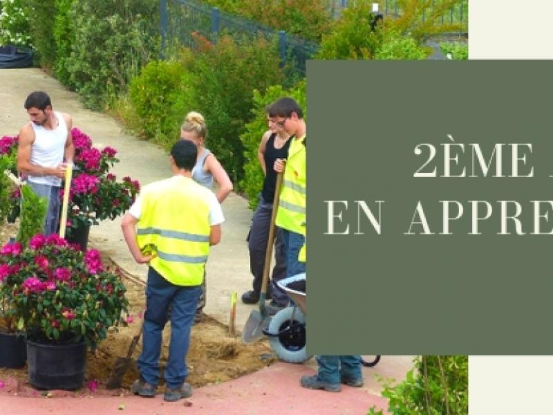 BTS en alternance