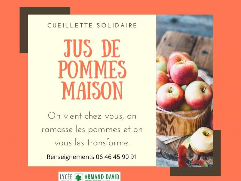 Projet EPI autour de la pomme