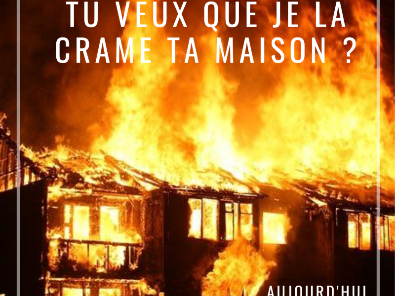 Affiche de Camille