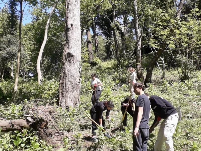 #AVENTURE DU VIVANT 