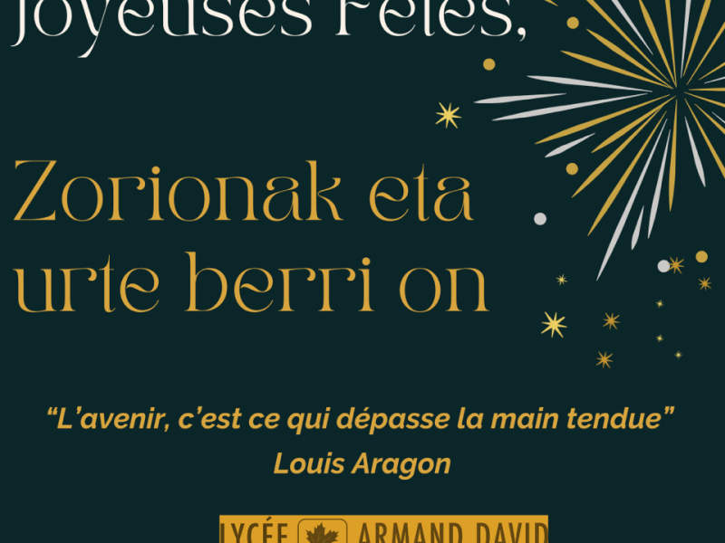 #LYCEEARMANDDAVID #CHAMPDESPOSSIBLES