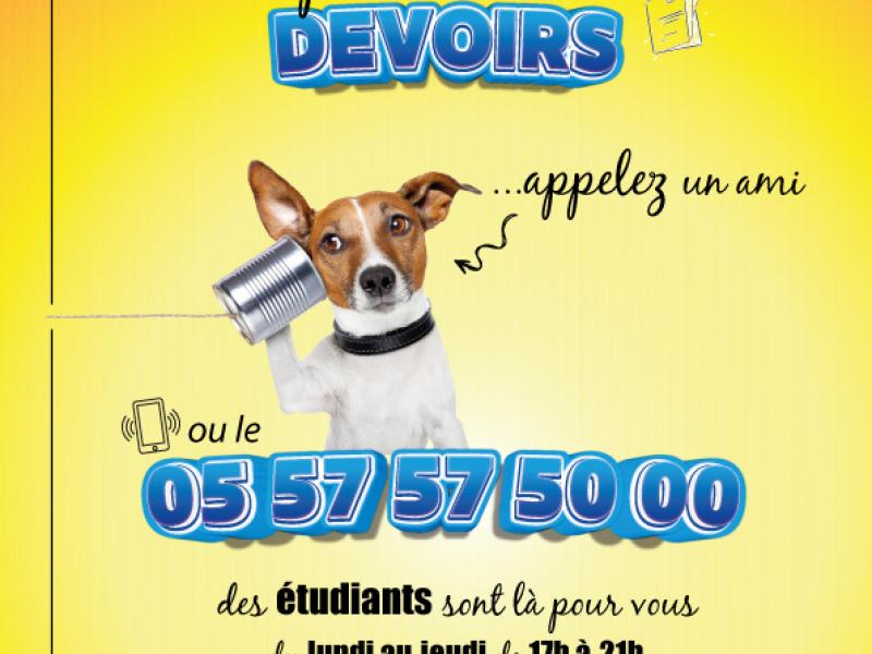 #LYCEEARMANDDAVID #CHAMPDESPOSSIBLES