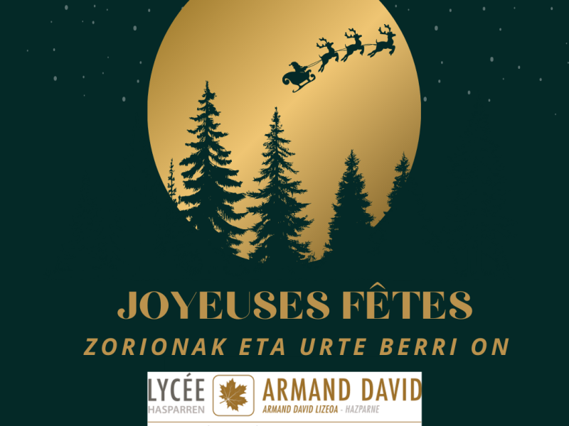 #LYCEEARMANDDAVID #CHAMPDESPOSSIBLES